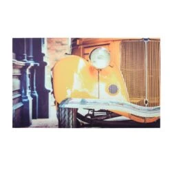 Tapis (75 Cm) Chicago Jaune