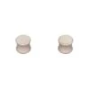 Lot De 2 Embouts Tringle (D20 Mm) Jim Bouchons Argent Mat