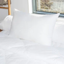 Oreillers Rectangulaires - Lot De 2 - Moelleux Anti-acariens Blanc