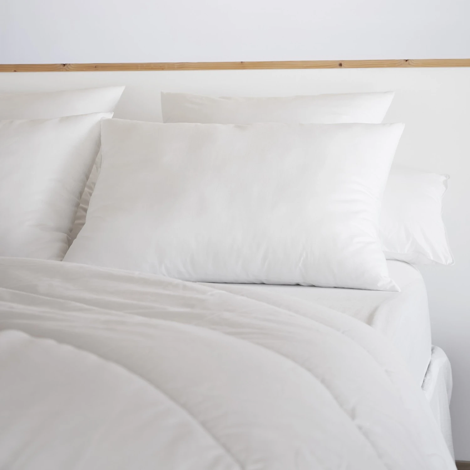 Oreiller anti acarien rectangulaire (70 cm) Sirius Blanc Oreiller Anti Acarien Rectangulaire (70 Cm) Sirius Blanc -Eminza oreiller coton anti acariens 50 x 70 cm sirius 131404 1695634861