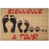 Paillasson Coco (60 Cm) Bienvenue Multicolore